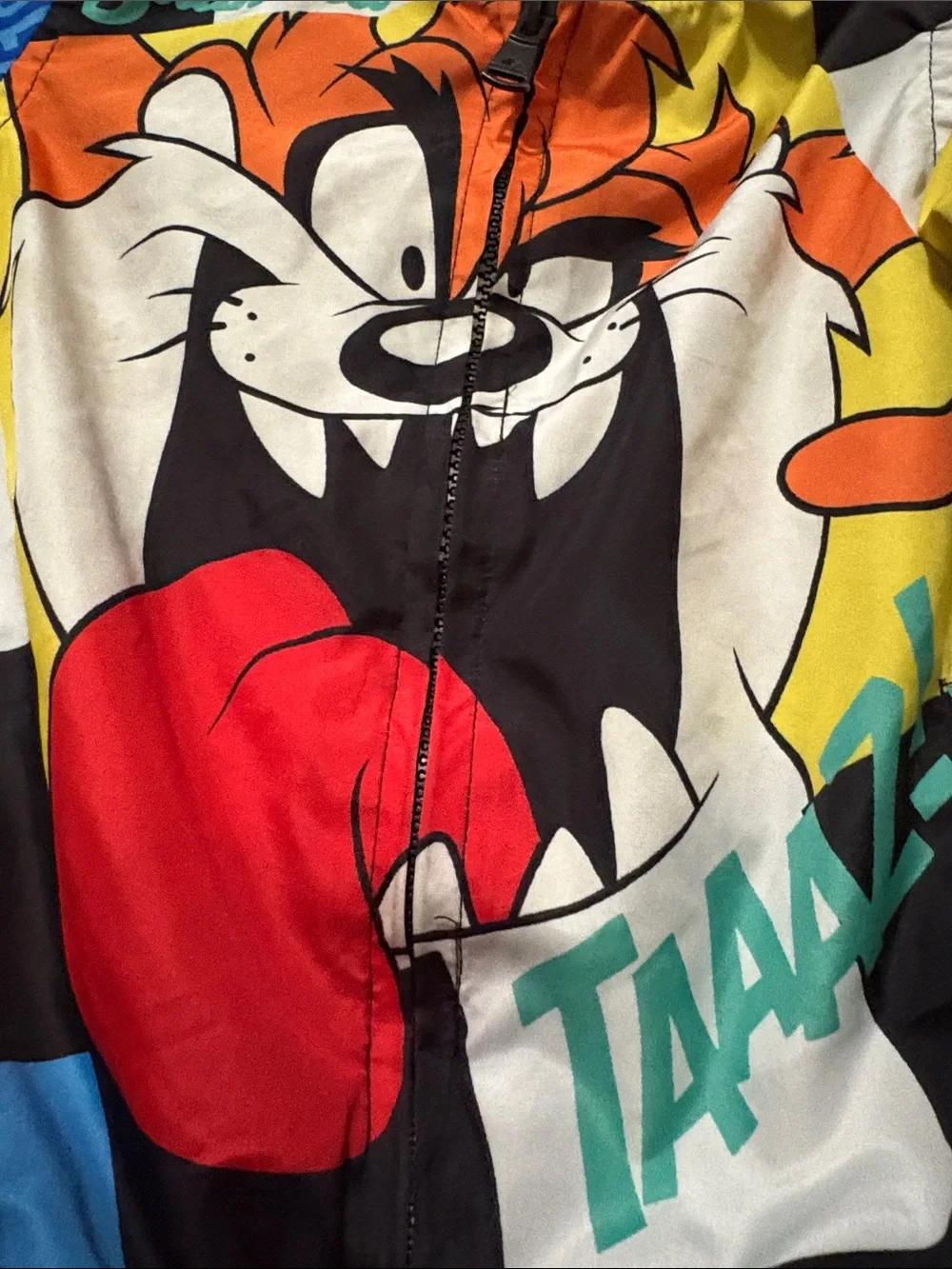 Kids Looney Tunes Taz Graphic Bomber Jacket - Multicolor